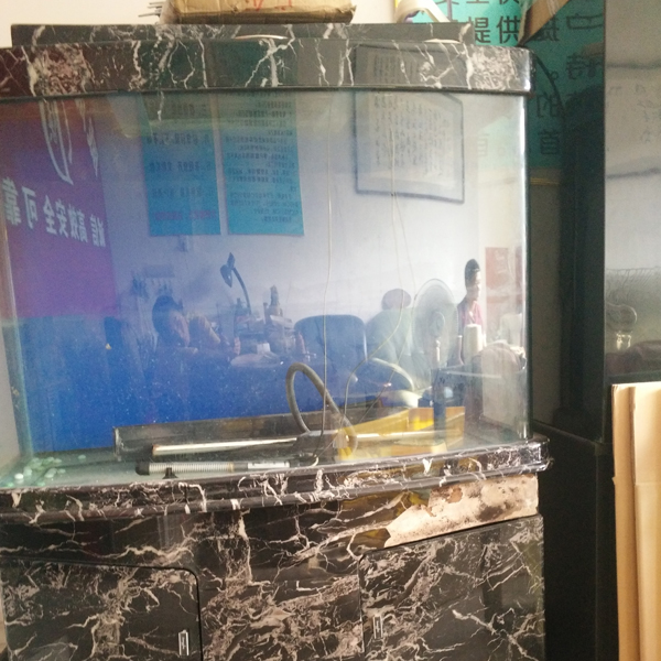 鋼琴與魚缸快運(yùn)