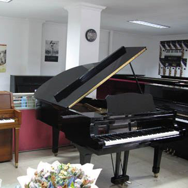 鋼琴與魚缸快運(yùn)